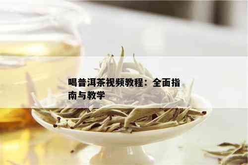 喝普洱茶视频教程：全面指南与教学