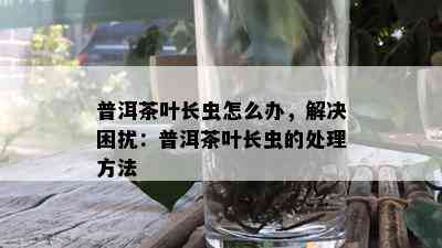 普洱茶叶长虫怎么办，解决困扰：普洱茶叶长虫的处理方法