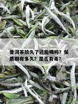 普洱茶放久了还能喝吗？保质期有多久？是否有？