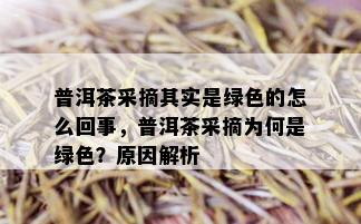 普洱茶采摘其实是绿色的怎么回事，普洱茶采摘为何是绿色？原因解析