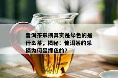 普洱茶采摘其实是绿色的是什么茶，揭秘：普洱茶的采摘为何是绿色的？