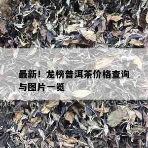 最新！龙榜普洱茶价格查询与图片一览