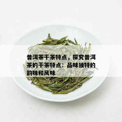 普洱茶干茶特点，探究普洱茶的干茶特点：品味独特的韵味和风味