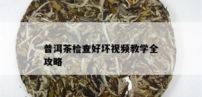 普洱茶检查好坏视频教学全攻略