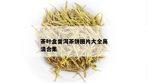 茶叶盒普洱茶饼图片大全高清合集