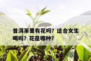 普洱茶里有花吗？适合女生喝吗？花是哪种？