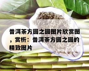 普洱茶方圆之圆图片欣赏图，赏析：普洱茶方圆之圆的精致图片