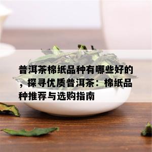 普洱茶棉纸品种有哪些好的，探寻优质普洱茶：棉纸品种推荐与选购指南