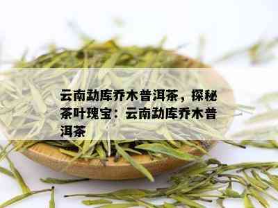 云南勐库乔木普洱茶，探秘茶叶瑰宝：云南勐库乔木普洱茶