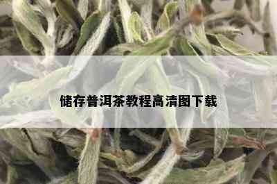 储存普洱茶教程高清图下载