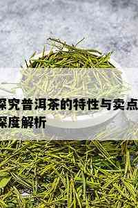 探究普洱茶的特性与卖点：深度解析