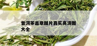 普洱茶盖章图片真实高清图大全