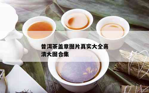 普洱茶盖章图片真实大全高清大图合集