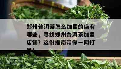 郑州普洱茶怎么加盟的店有哪些，寻找郑州普洱茶加盟店铺？这份指南带你一网打尽！