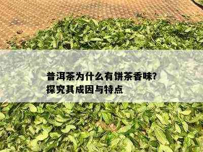 普洱茶为什么有饼茶香味？探究其成因与特点