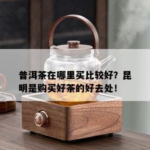 普洱茶在哪里买比较好？昆明是购买好茶的好去处！