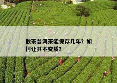 散茶普洱茶能保存几年？如何让其不变质？