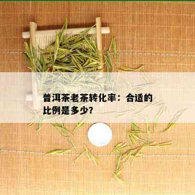 普洱茶老茶转化率：合适的比例是多少？