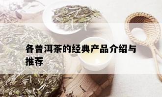 各普洱茶的经典产品介绍与推荐