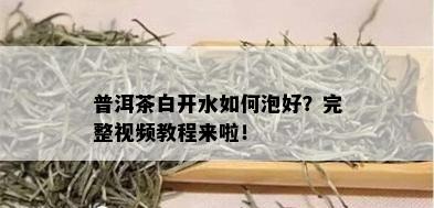 普洱茶白开水如何泡好？完整视频教程来啦！