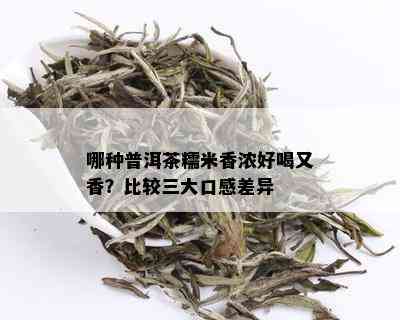 哪种普洱茶糯米香浓好喝又香？比较三大口感差异