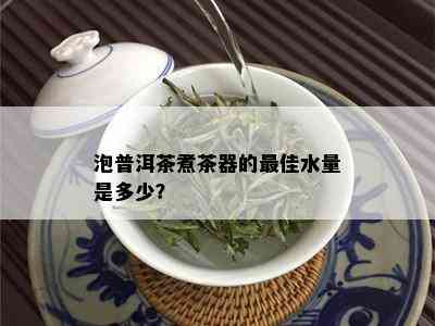 泡普洱茶煮茶器的更佳水量是多少？