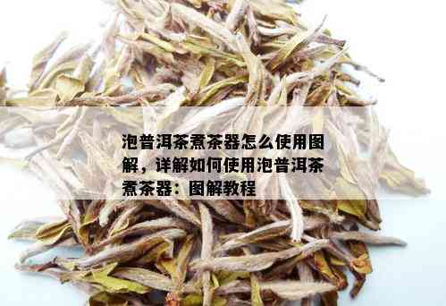 泡普洱茶煮茶器怎么使用图解，详解如何使用泡普洱茶煮茶器：图解教程