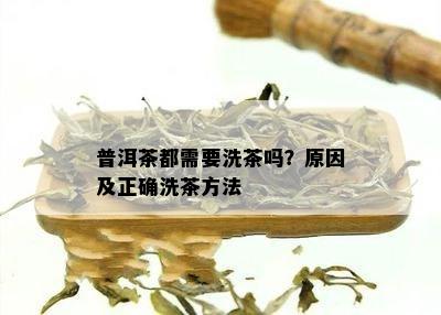 普洱茶都需要洗茶吗？原因及正确洗茶方法