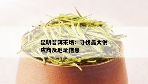 昆明普洱茶场：寻找更大供应商及地址信息