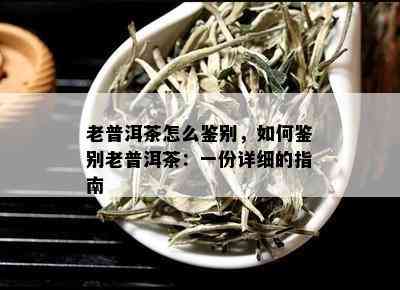 老普洱茶怎么鉴别，如何鉴别老普洱茶：一份详细的指南