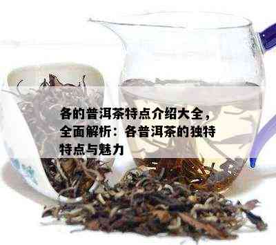 各的普洱茶特点介绍大全，全面解析：各普洱茶的独特特点与魅力