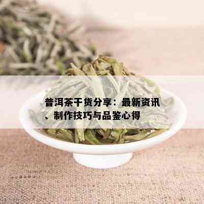 普洱茶干货分享：最新资讯、制作技巧与品鉴心得