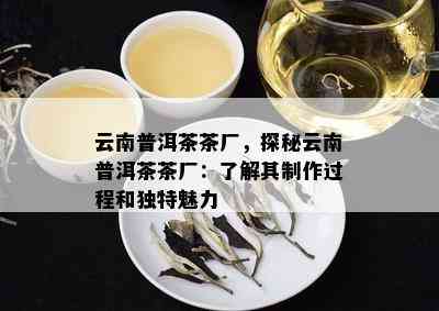 云南普洱茶茶厂，探秘云南普洱茶茶厂：了解其制作过程和独特魅力