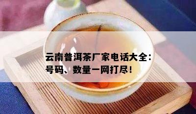 云南普洱茶厂家电话大全：号码、数量一网打尽！