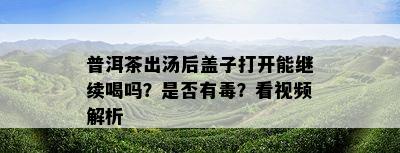 普洱茶出汤后盖子打开能继续喝吗？是否有？看视频解析