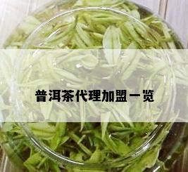 普洱茶代理加盟一览