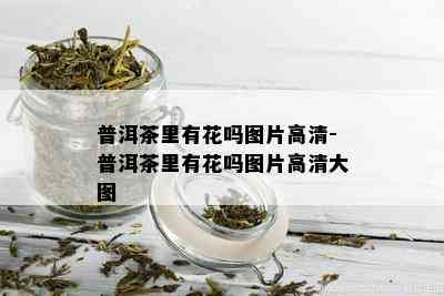 普洱茶里有花吗图片高清-普洱茶里有花吗图片高清大图