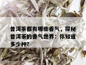 普洱茶都有哪些香气，探秘普洱茶的香气世界：你知道多少种？