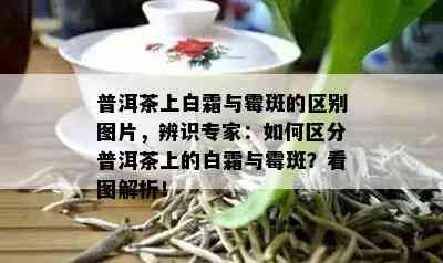 普洱茶上白霜与霉斑的区别图片，辨识专家：如何区分普洱茶上的白霜与霉斑？看图解析！