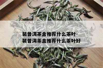 装普洱茶盒推荐什么茶叶-装普洱茶盒推荐什么茶叶好