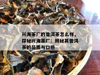 兴海茶厂的普洱茶怎么样，探秘兴海茶厂：揭秘其普洱茶的品质与口感