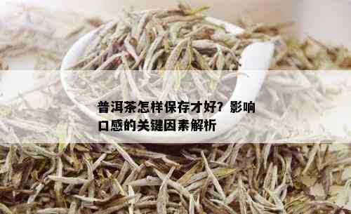 普洱茶怎样保存才好？影响口感的关键因素解析