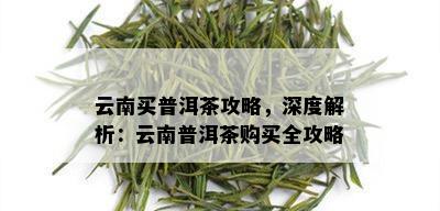 云南买普洱茶攻略，深度解析：云南普洱茶购买全攻略