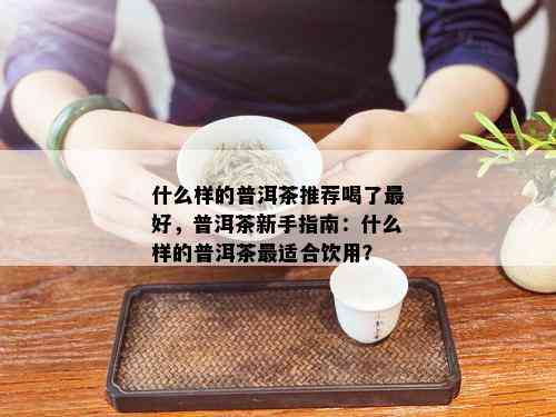 什么样的普洱茶推荐喝了更好，普洱茶新手指南：什么样的普洱茶最适合饮用？