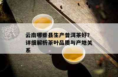 云南哪些县生产普洱茶好？详细解析茶叶品质与产地关系