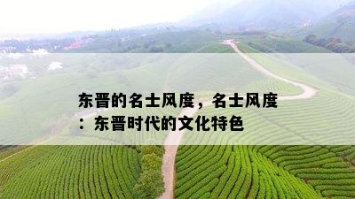 东晋的名士风度，名士风度：东晋时代的文化特色