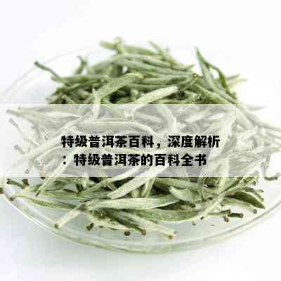 特级普洱茶百科，深度解析：特级普洱茶的百科全书