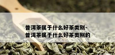 普洱茶属于什么好茶类别-普洱茶属于什么好茶类别的