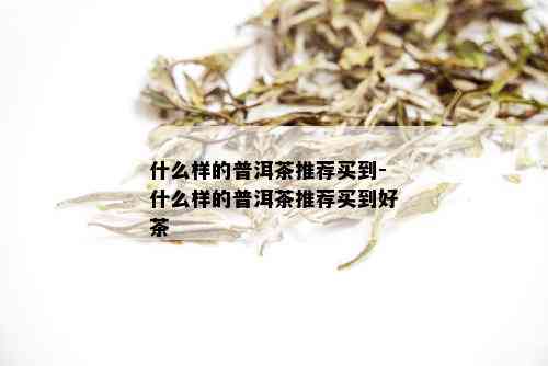 什么样的普洱茶推荐买到-什么样的普洱茶推荐买到好茶