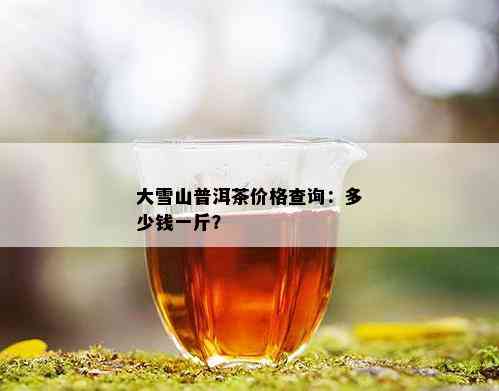 大雪山普洱茶价格查询：多少钱一斤？